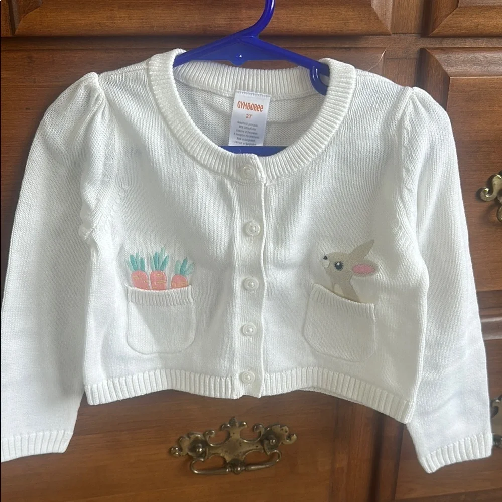 Gymboree charming white